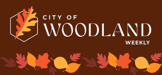 Woodland Weekly - headlines you can read in under a minute Thanksgiving