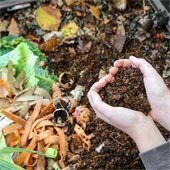 Rachio Irrigation Controller