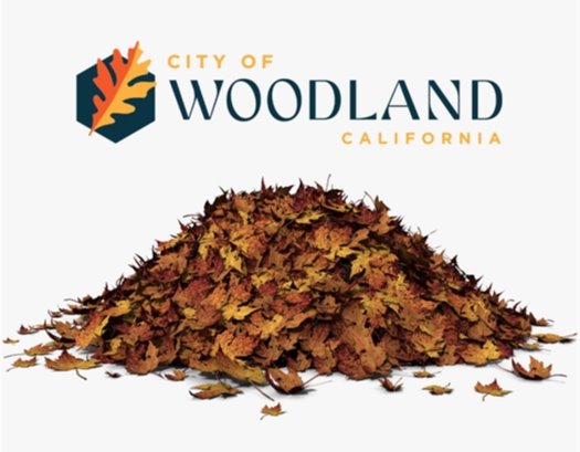 Photo of a leaf pile on a white background with the City of Woodland logo above