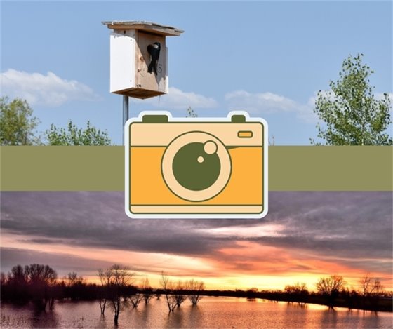 Camera icon with pictures from the park preserve