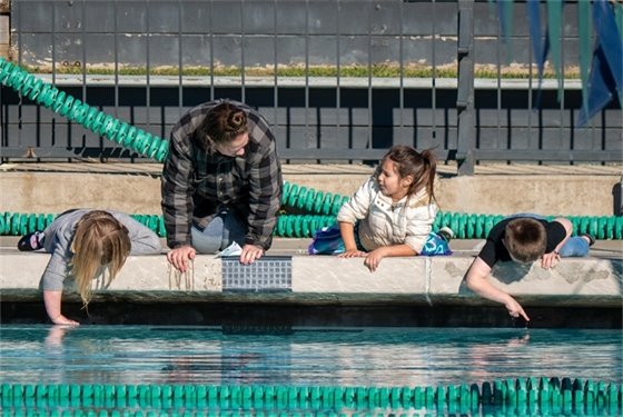 photo from 2024 polar bear plunge