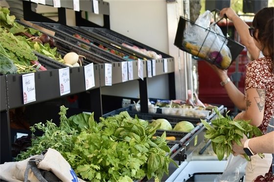 photo of folks shopping at mobile farmers market truck