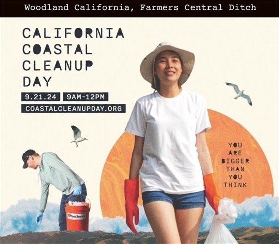 Image of folks cleaning up trash