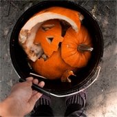 Don’t let your pumpkin haunt the landfill! Instead, give it a new purpose by placing it in your green organics cart for composting.