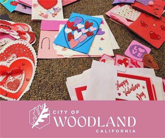 Photo of past Woodland Writes cards with the City logo at bottom