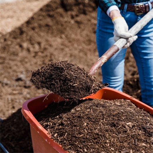 Photo of person shoveling compost