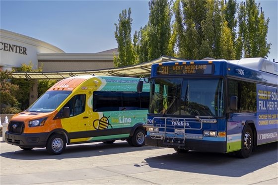 BeeLine Shuttle and Yolobus bus