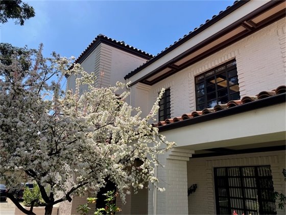 Exterior photo of Woodland City Hall