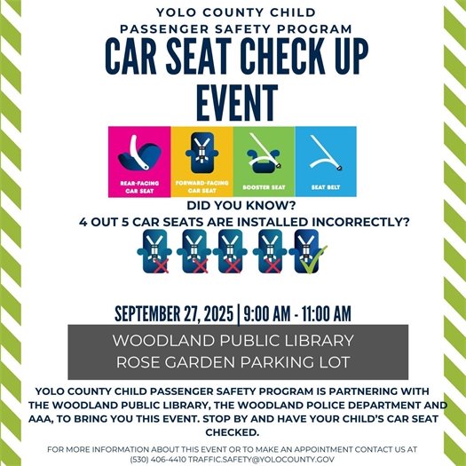 Car Seat Check Up Event Flyer
