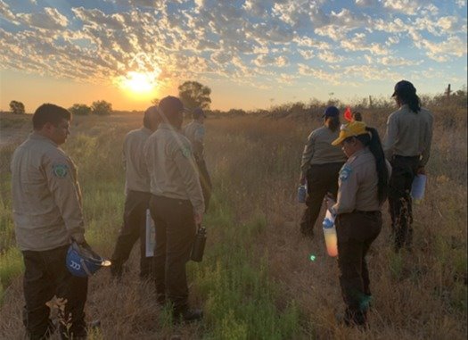 Photo of California Conservation Corps performing work at the Park Preserve