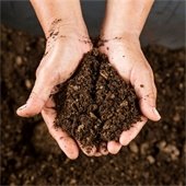 Person holding compost in their hands