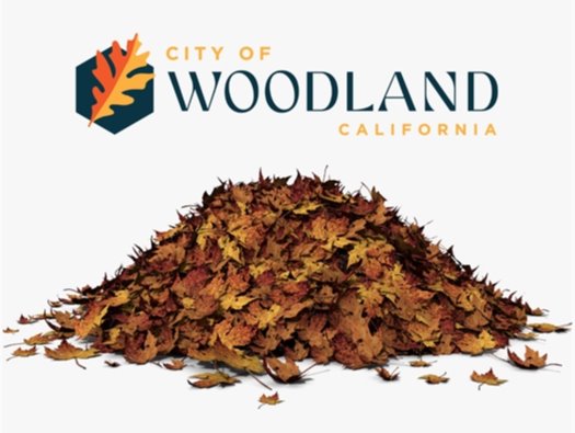 Image of a leaf pile with the City of Woodland logo