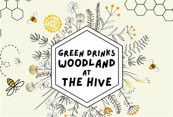 Graphic reading "Green Drinks Woodland at The Hive"