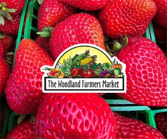 Farmers Market Logo on top of strawberries