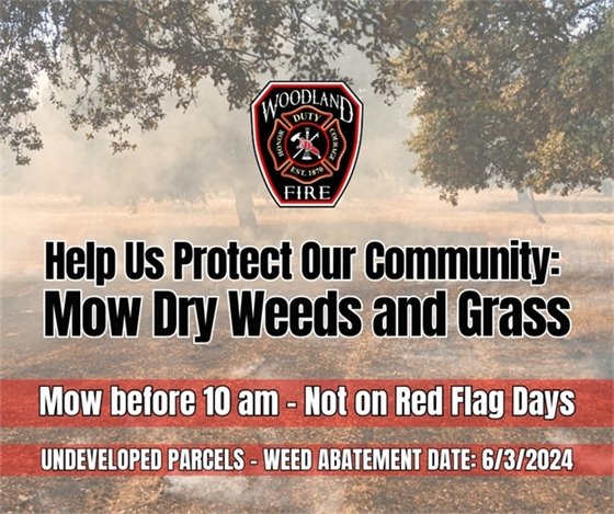 Mow Dry Weeds and Grass