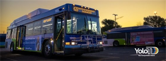 photo of Yolobus at sunset