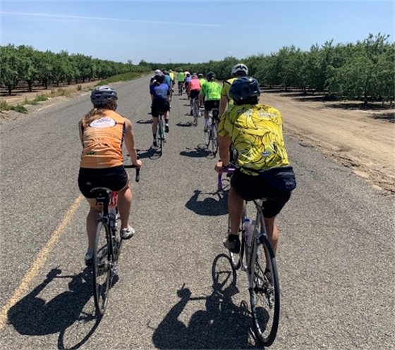 Photo of riders on 2022 honey ride