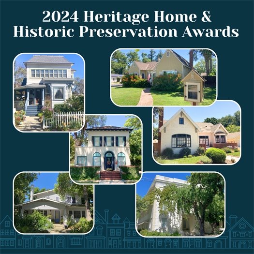 Collage of 2024 winners