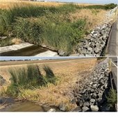 Green Drinks Woodland at the Hive Flyer 