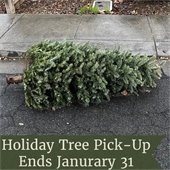 Holiday Tree Pickup