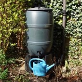 Rain barrel in a garden