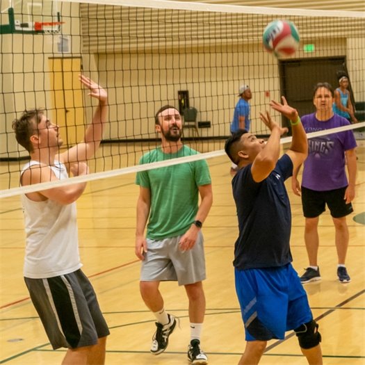 Photo of Woodlanders playing volleyball in 2019