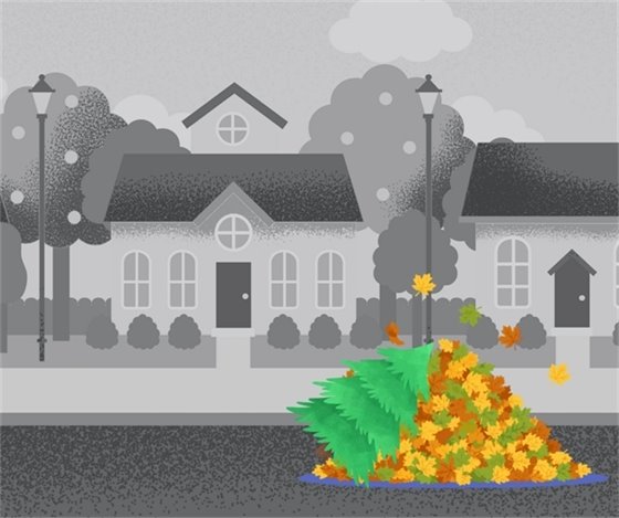 Image of a street with a leaf pile and a holiday tree placed in the pile