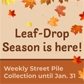 Lead drop season is here reminder with falling leaves