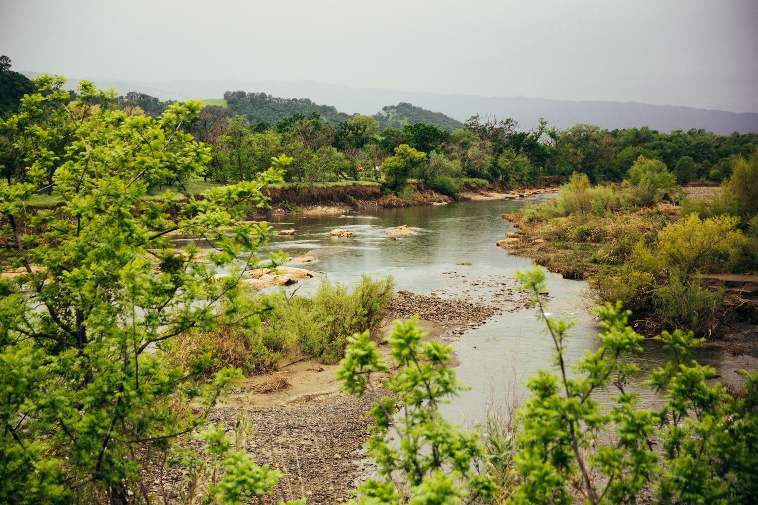 Image of creek near Woodland in 2017