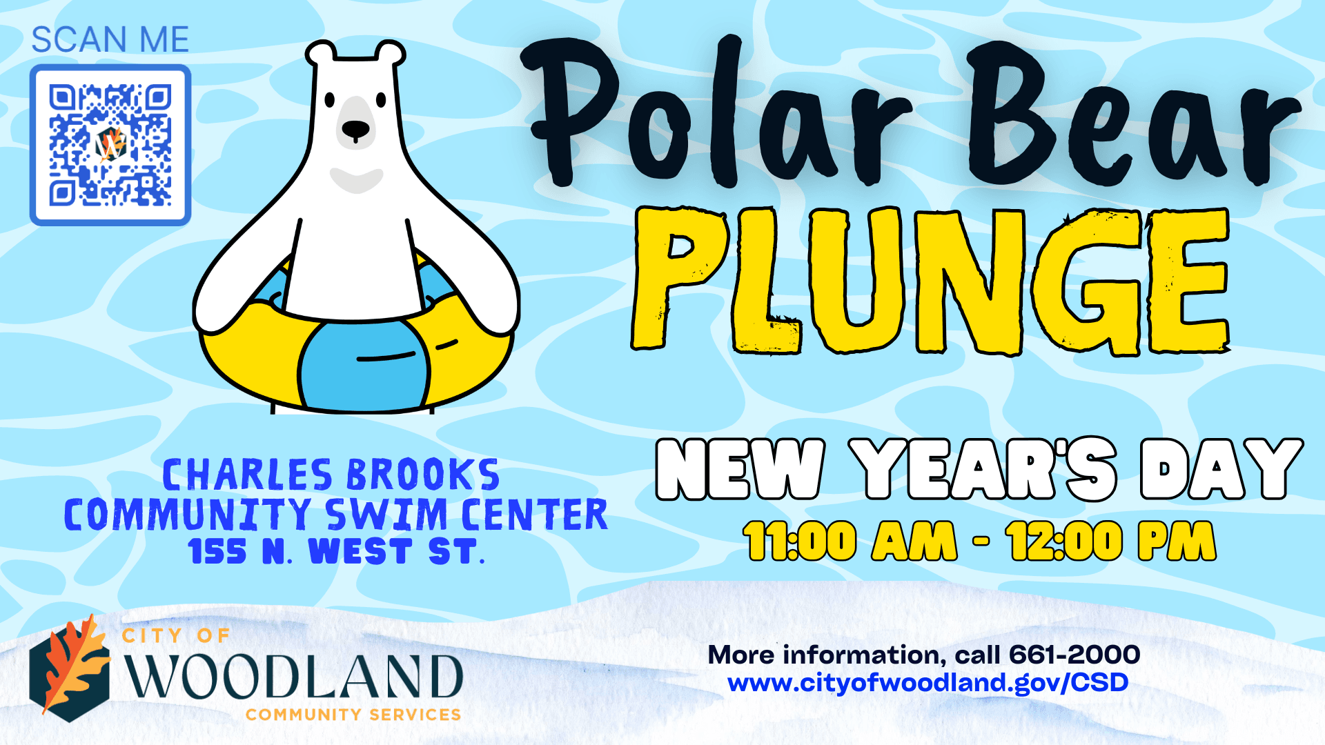 Polar Bear Plunge informational