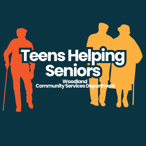 Dark blue background with orange and yellow characters of senior citizens