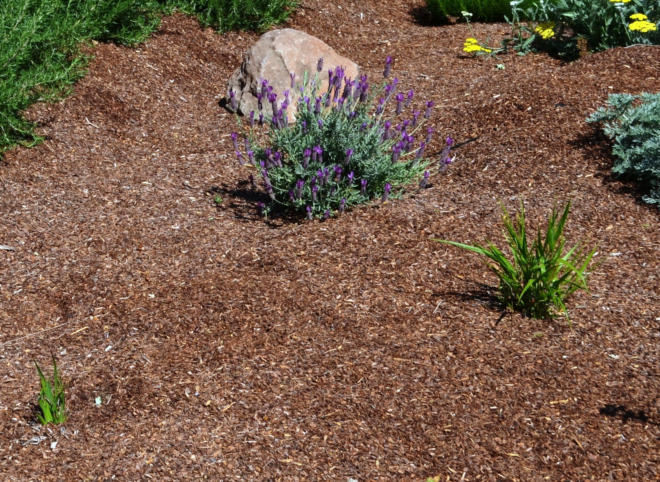 Mulch