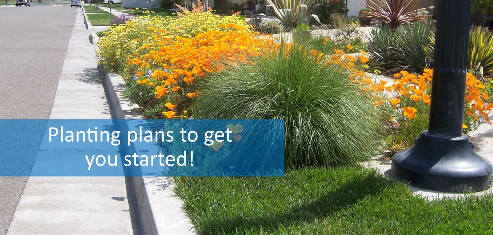 Landscape - Planting plans to get you started!