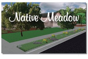 Native Meadow Planting Plan (PDF)