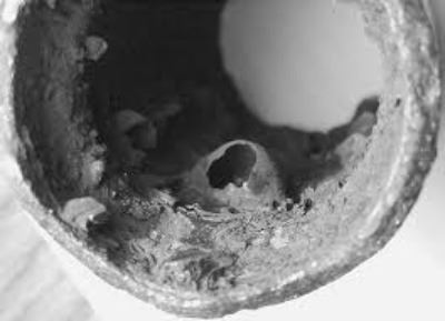 Black and white image of a fire line pipe full of MIC bacteria and rust