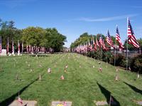 Flags at Cemetery