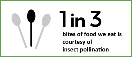 Pollinators and Food