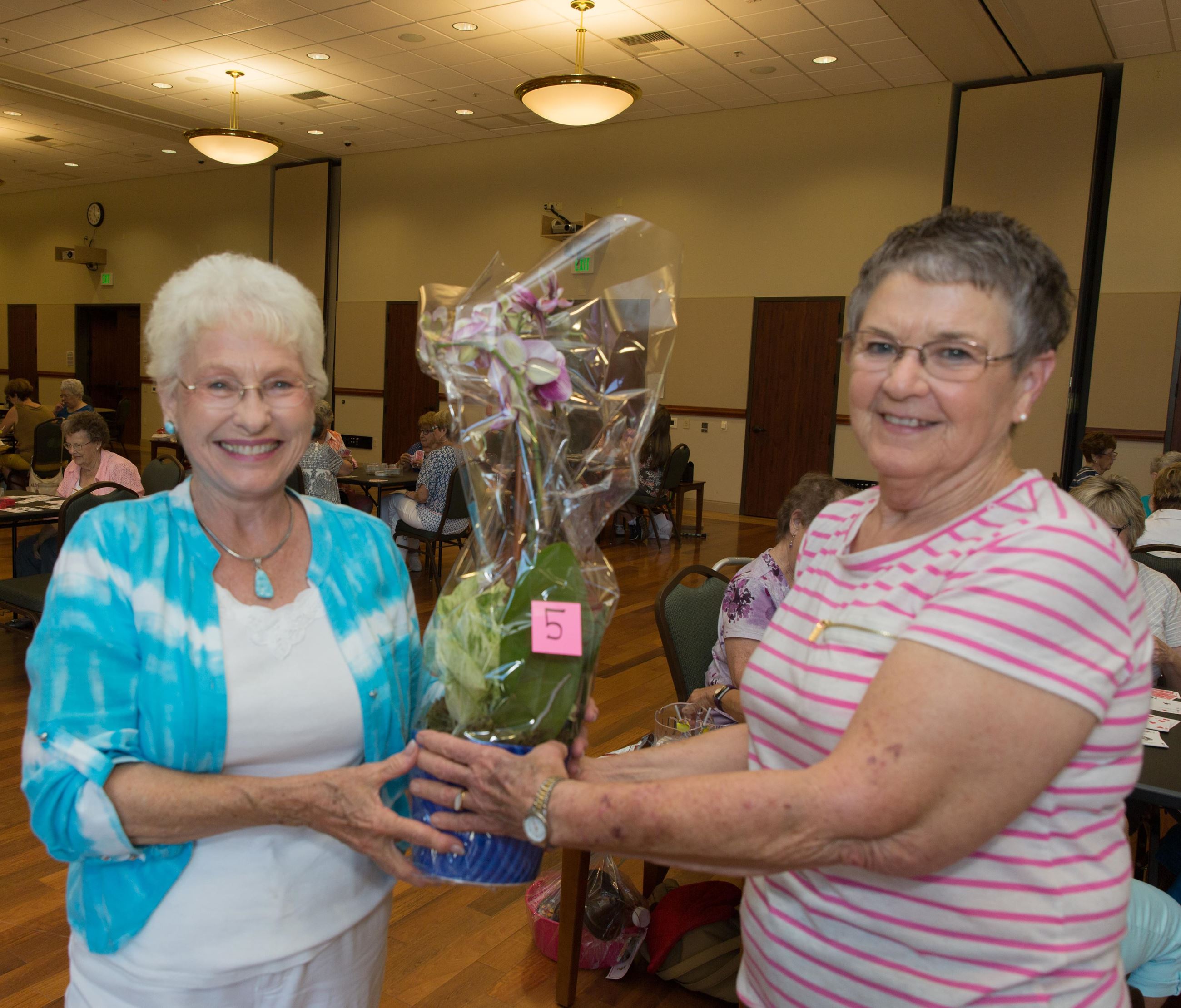 Two women holding a plant