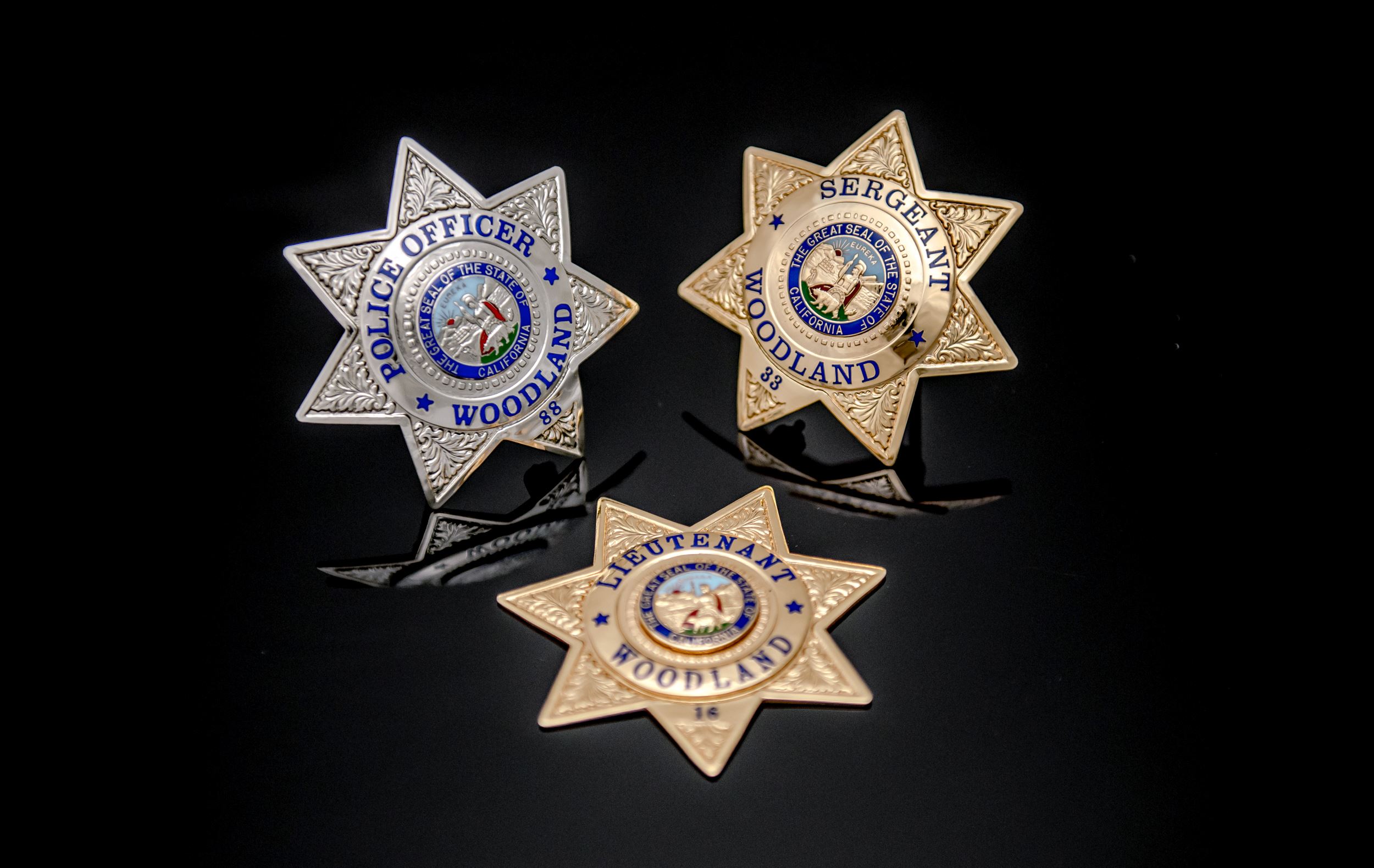 All 3 Badges of the Police Department