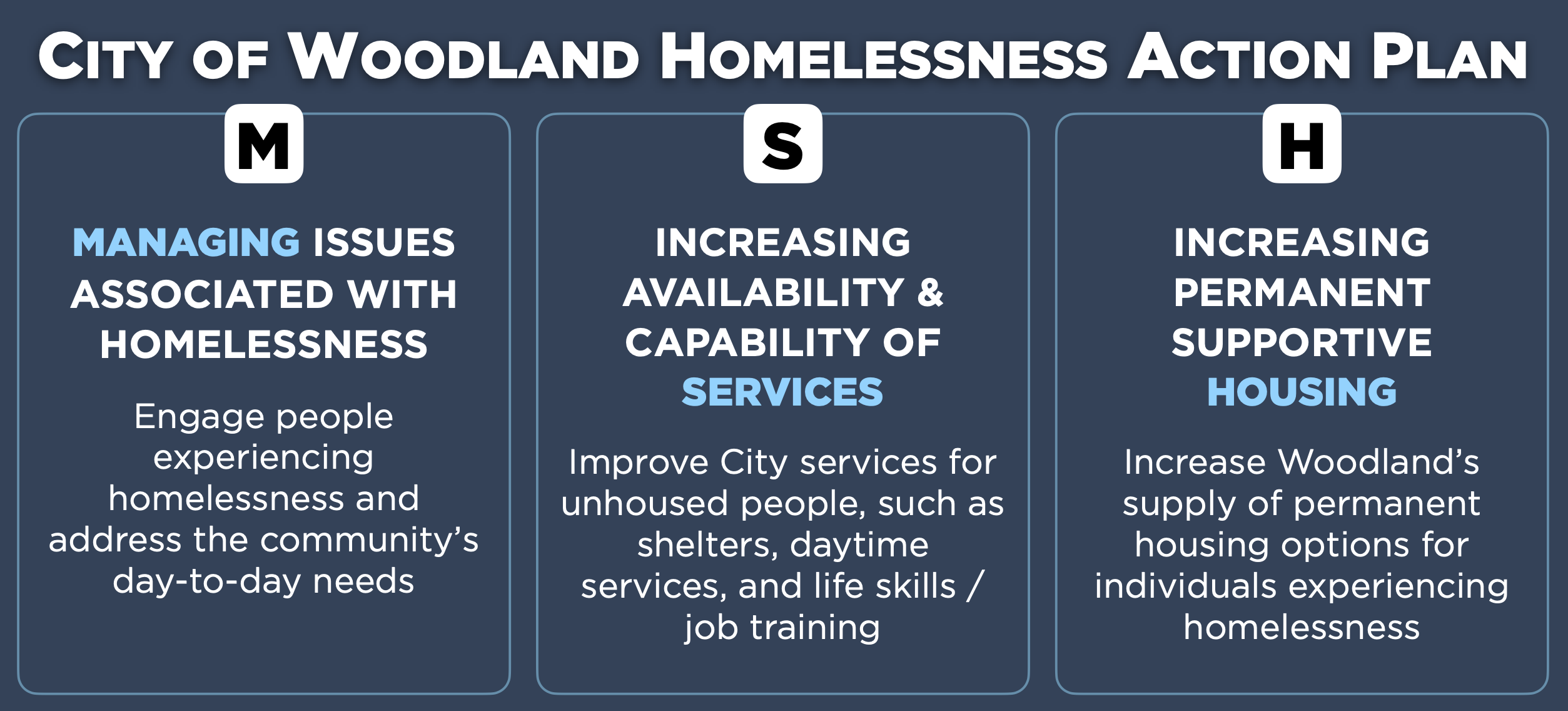 Homelessness Action Plan Basic graphic