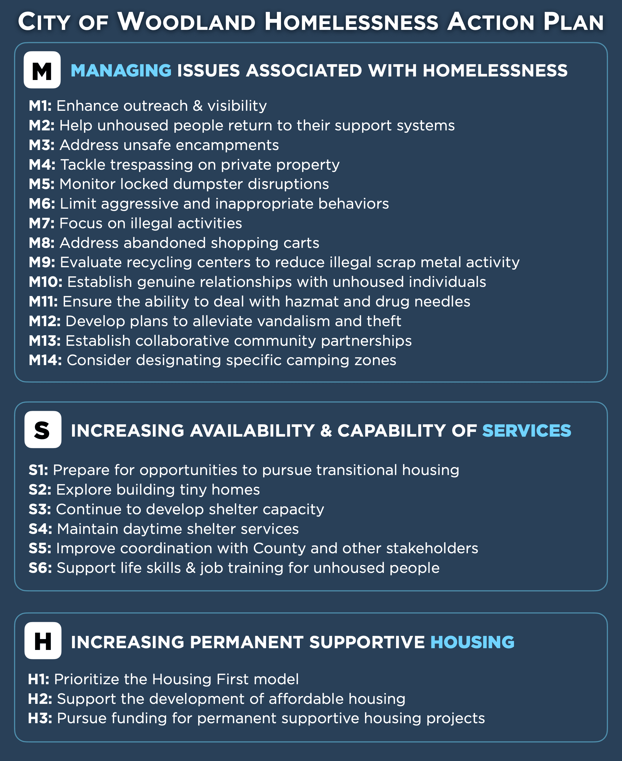 Homelessness Action Plan More In Depth graphic