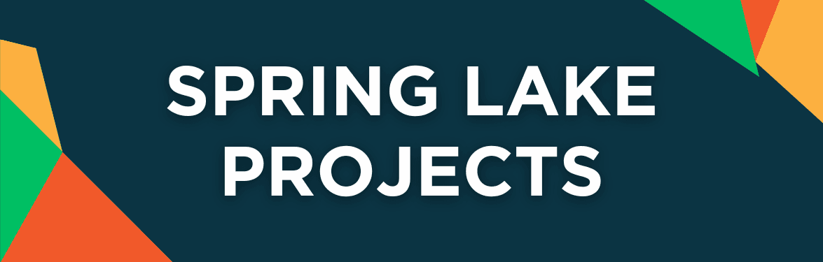 SPRING LAKE PROJECTS Graphic