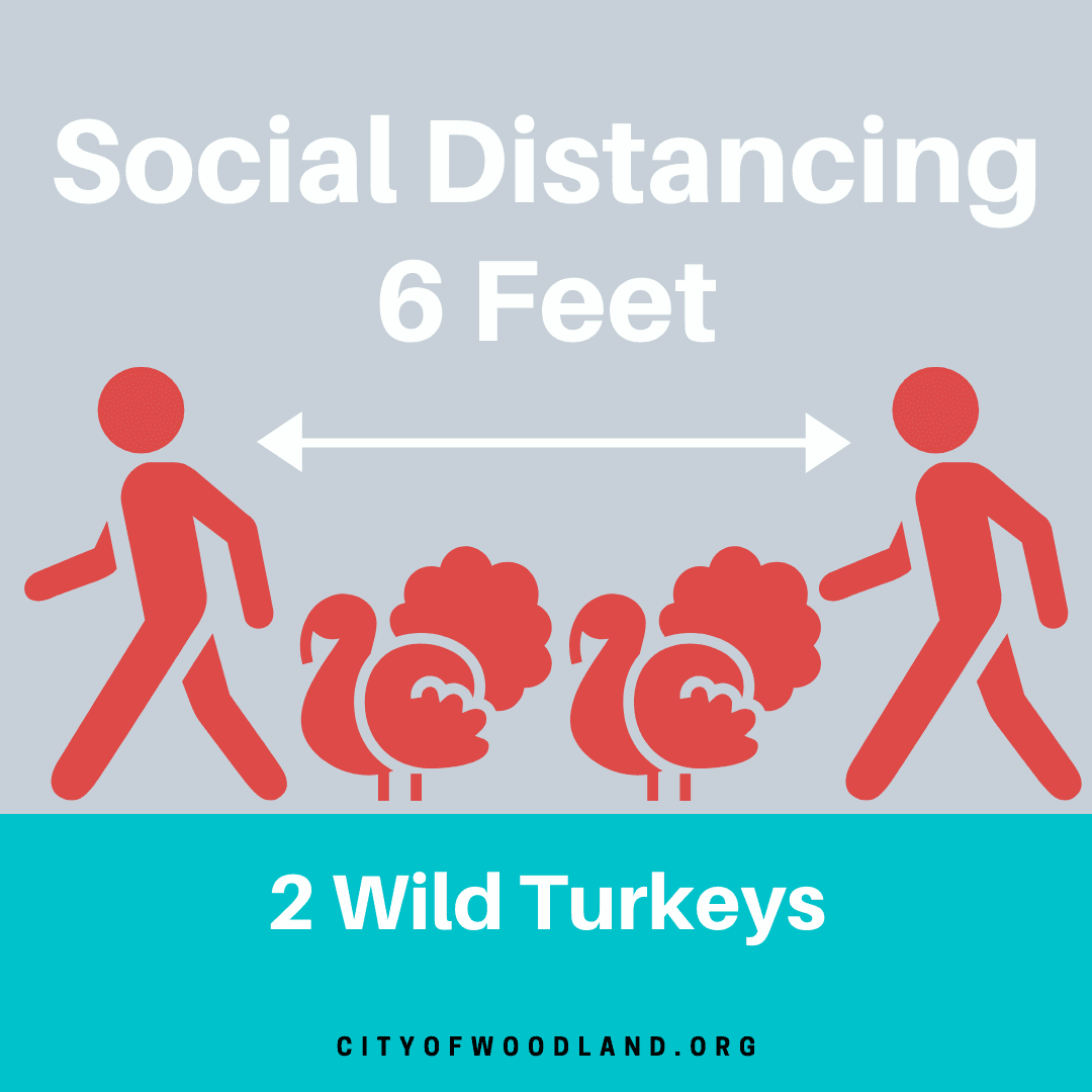 turkey social distancing