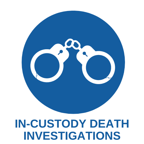 IN CUSTODY Logo
